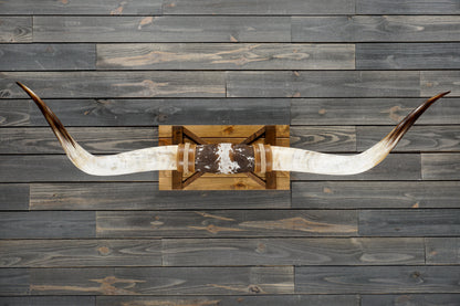 5' 8" Longhorn Wall Mount #352