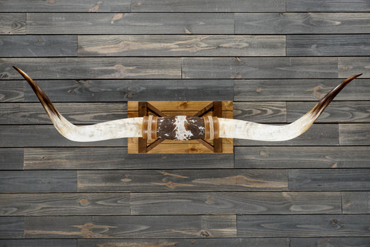 5' 8" Longhorn Wall Mount #352