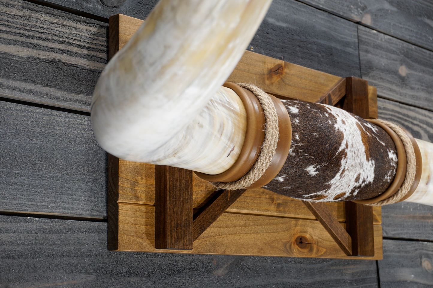 5' 8" Longhorn Wall Mount #352