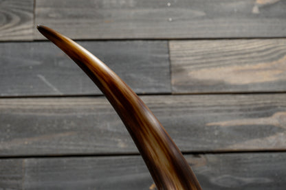 5' 8" Longhorn Wall Mount #352