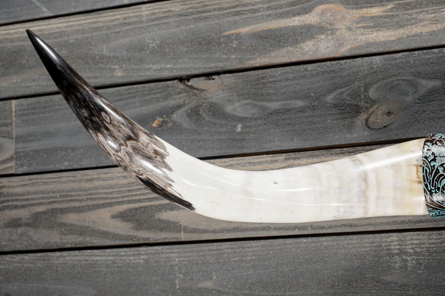 4' 3" Longhorn Wall Mount #378