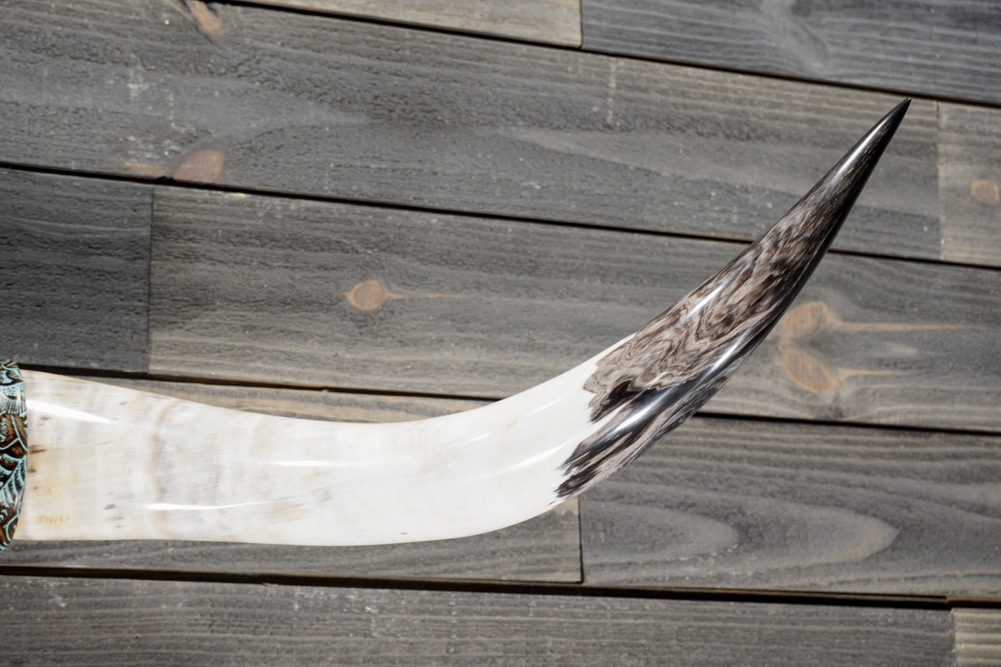 4' 3" Longhorn Wall Mount #378
