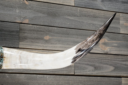 4' 3" Longhorn Wall Mount #378