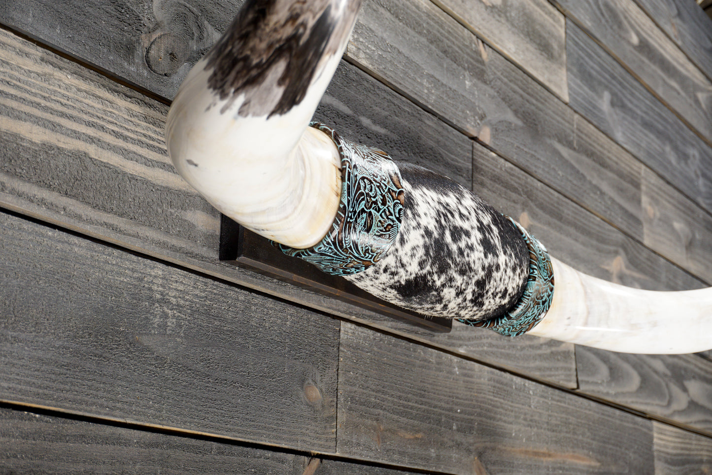 4' 3" Longhorn Wall Mount #378