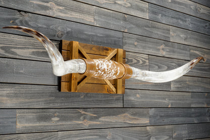6' 4" Longhorn Wall Mount #380