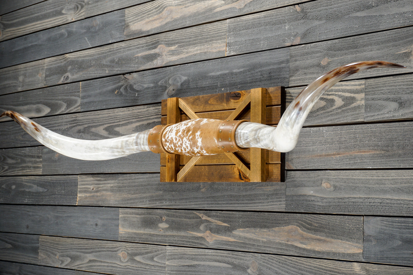 6' 4" Longhorn Wall Mount #380