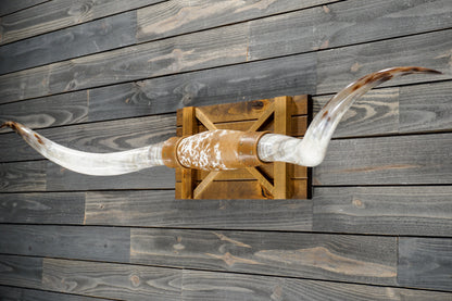 6' 4" Longhorn Wall Mount #380
