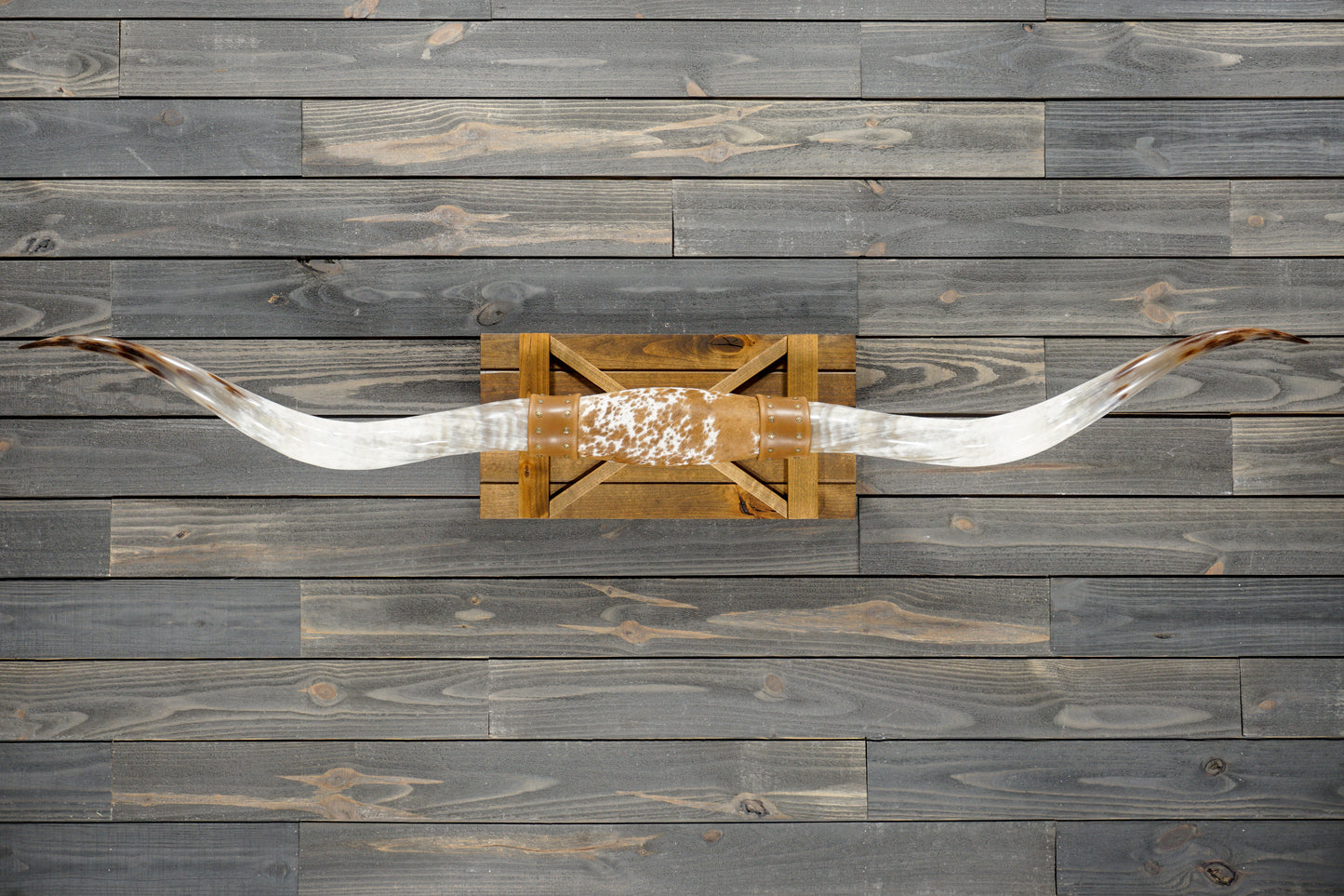 6' 4" Longhorn Wall Mount #380