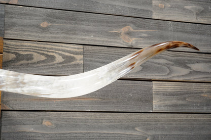 6' 4" Longhorn Wall Mount #380
