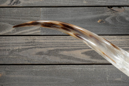 6' 4" Longhorn Wall Mount #380