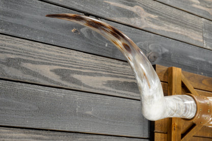 6' 4" Longhorn Wall Mount #380