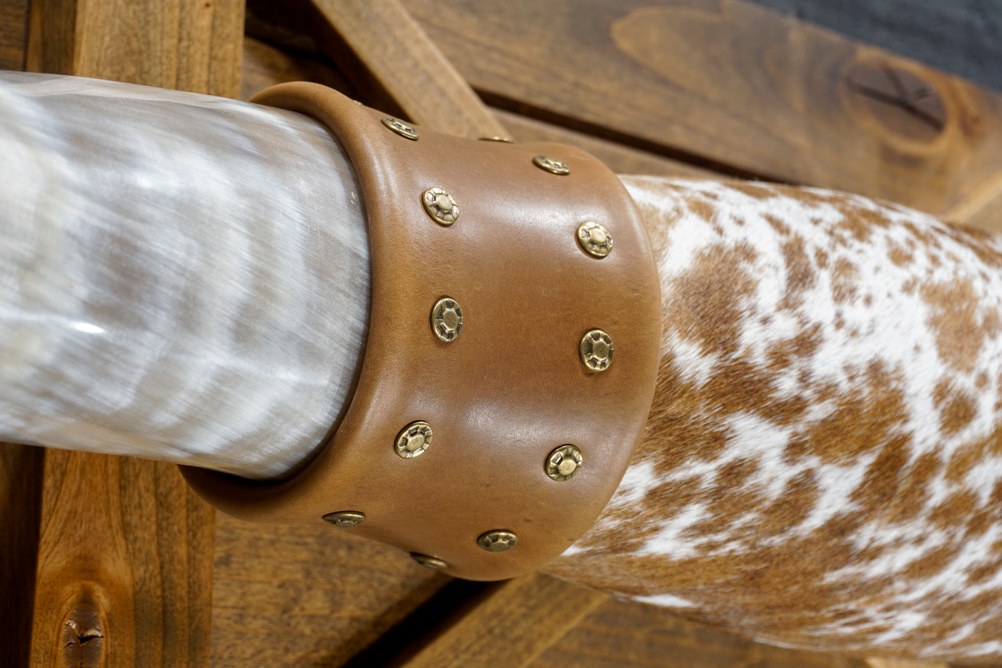 6' 4" Longhorn Wall Mount #380