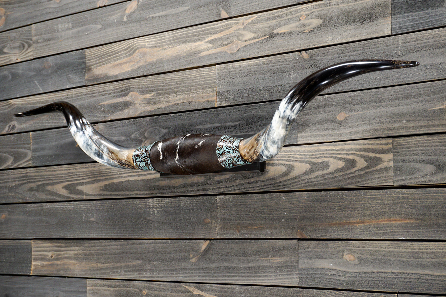 5' 2" Longhorn Wall Mount #308