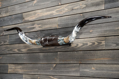 5' 2" Longhorn Wall Mount #308