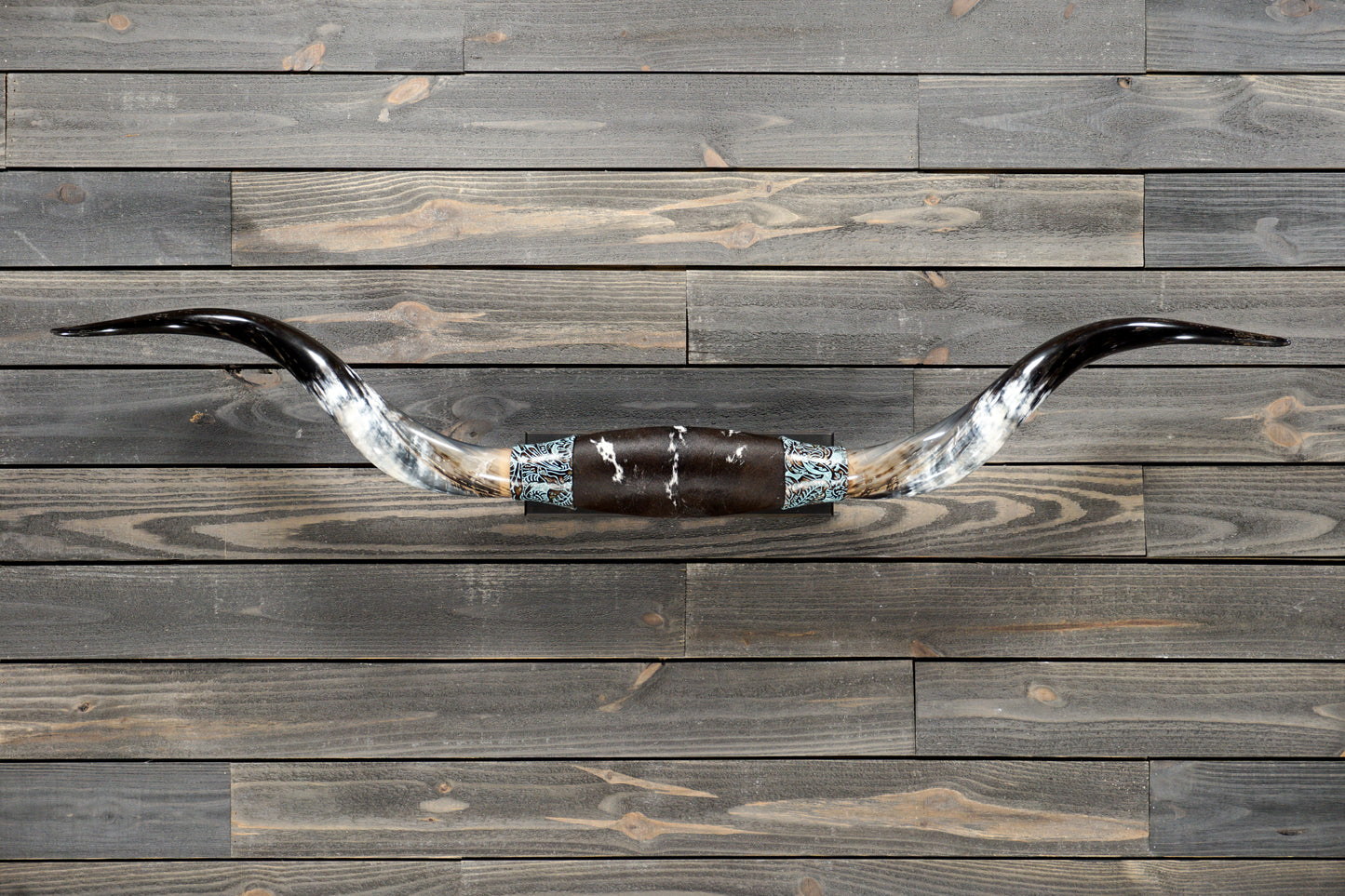 5' 2" Longhorn Wall Mount #308