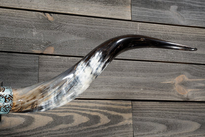 5' 2" Longhorn Wall Mount #308