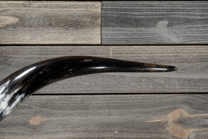 5' 2" Longhorn Wall Mount #308