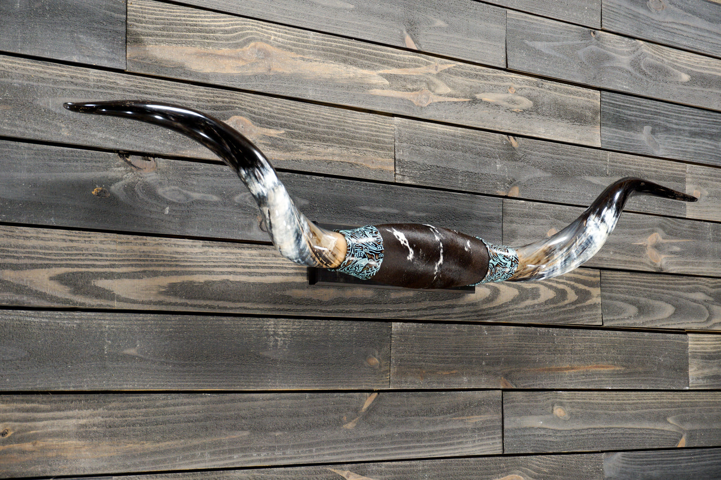 5' 2" Longhorn Wall Mount #308