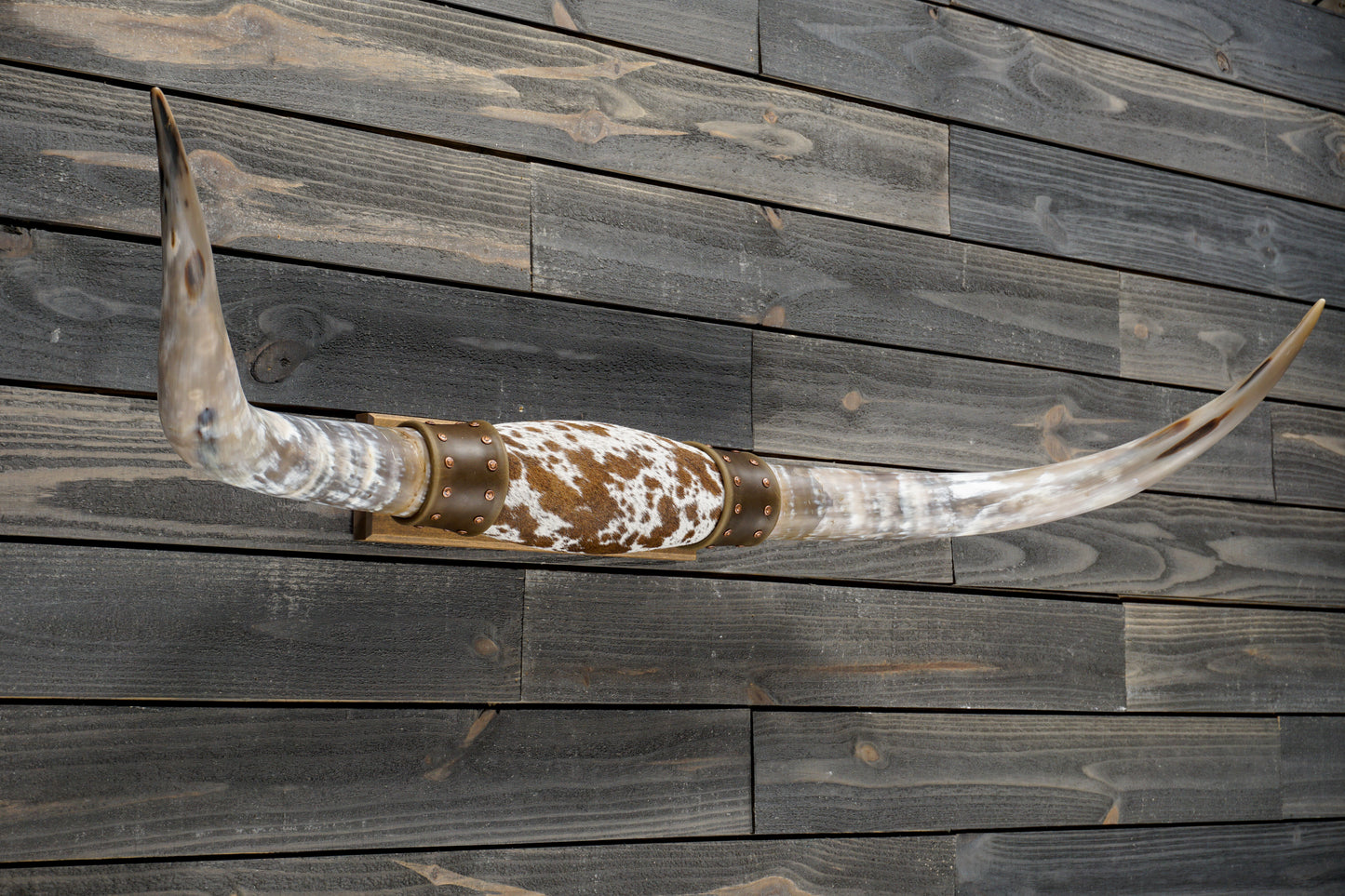 4' 7" Longhorn Wall Mount #359