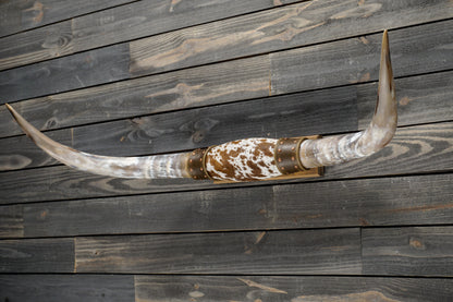 4' 7" Longhorn Wall Mount #359