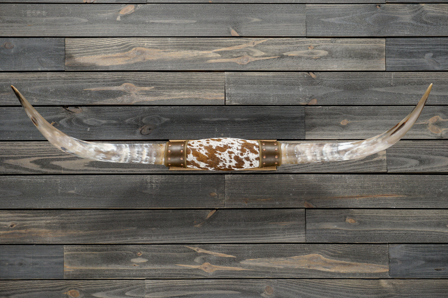 4' 7" Longhorn Wall Mount #359