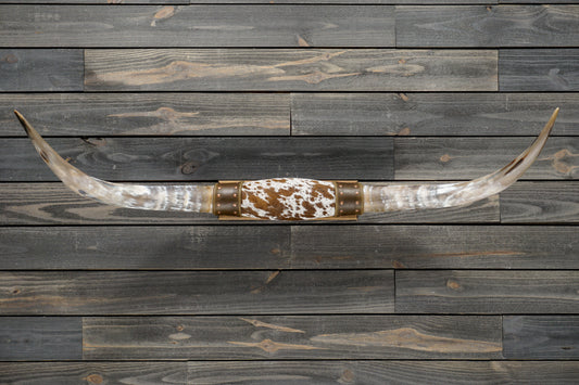 4' 7" Longhorn Wall Mount #359