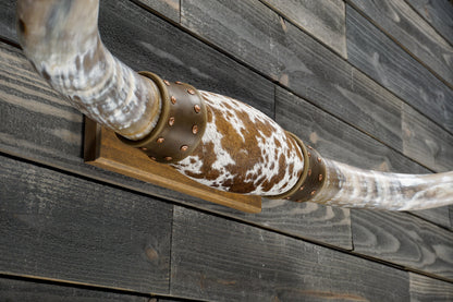 4' 7" Longhorn Wall Mount #359