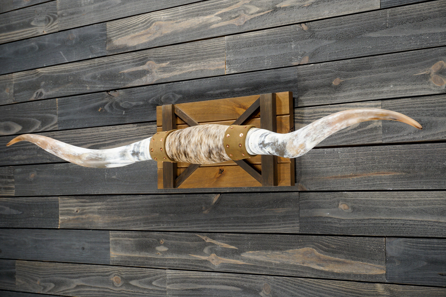 5' 9" Longhorn Wall Mount #271