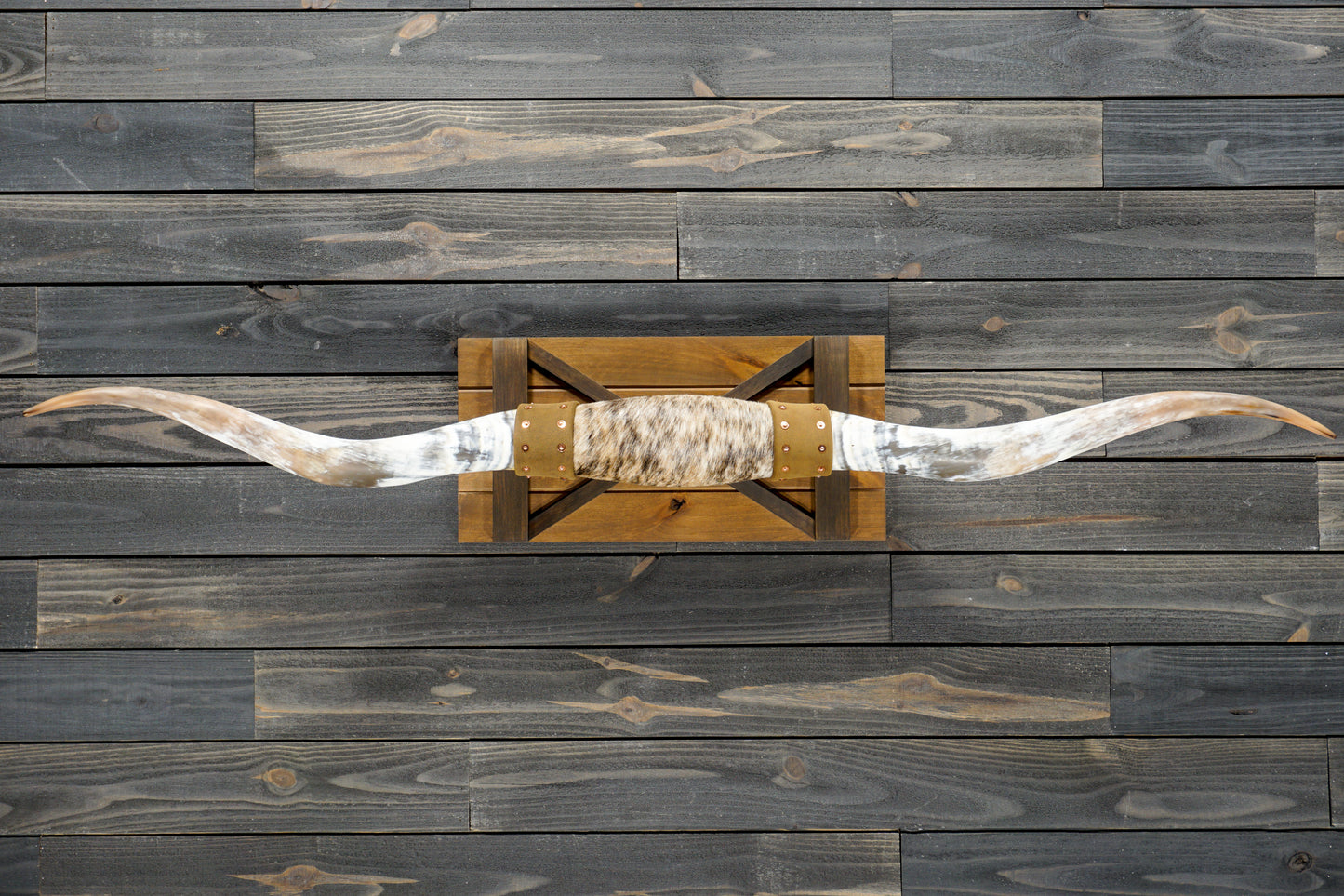 5' 9" Longhorn Wall Mount #271