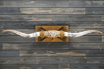 5' 9" Longhorn Wall Mount #271
