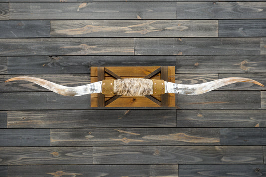 5' 9" Longhorn Wall Mount #271