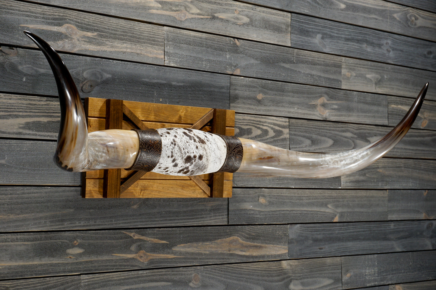 5' 4" Longhorn Wall Mount #348