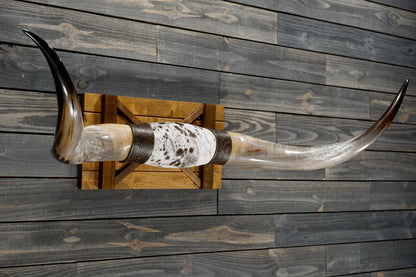 5' 4" Longhorn Wall Mount #348