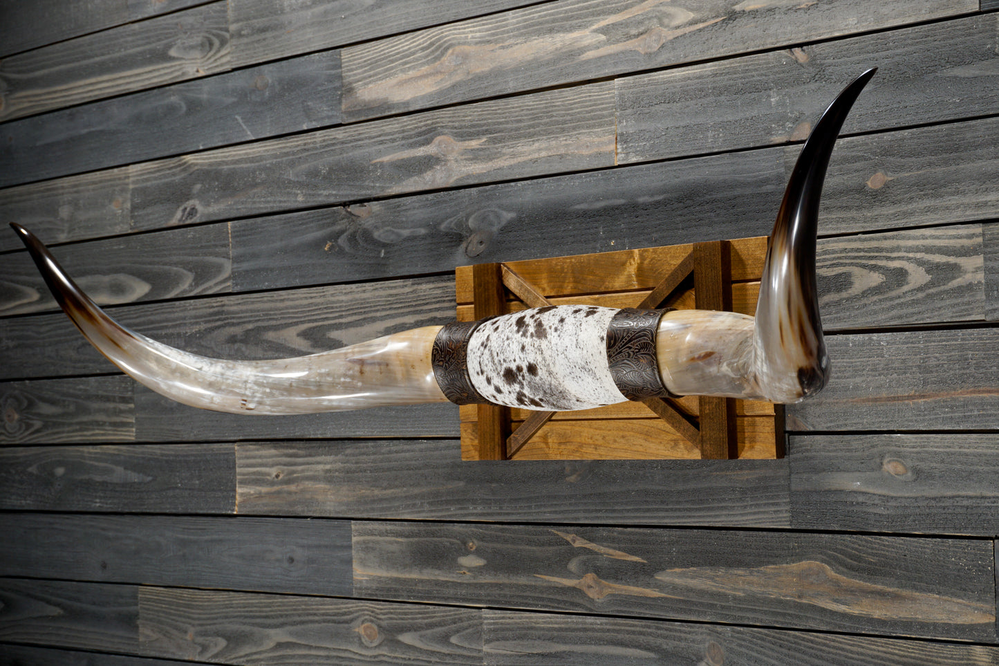 5' 4" Longhorn Wall Mount #348