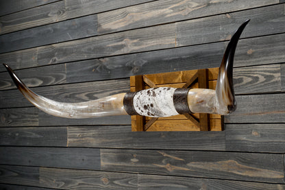5' 4" Longhorn Wall Mount #348