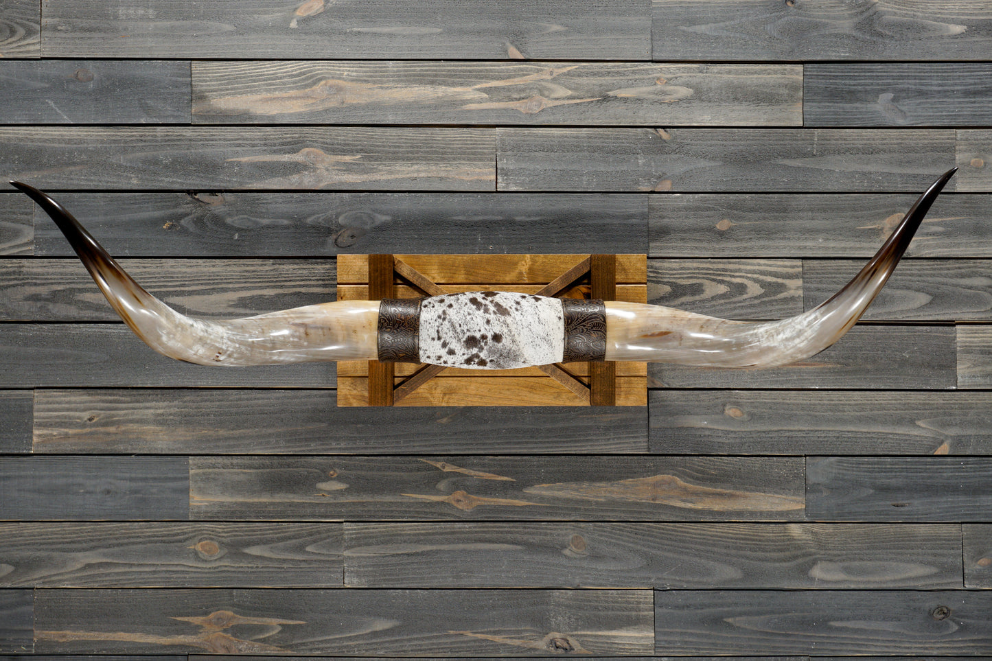 5' 4" Longhorn Wall Mount #348