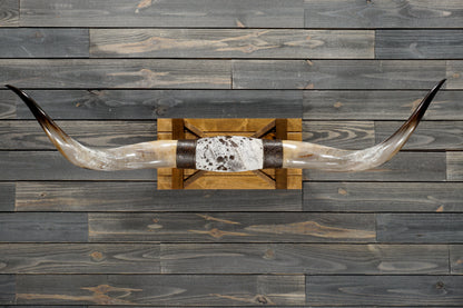 5' 4" Longhorn Wall Mount #348