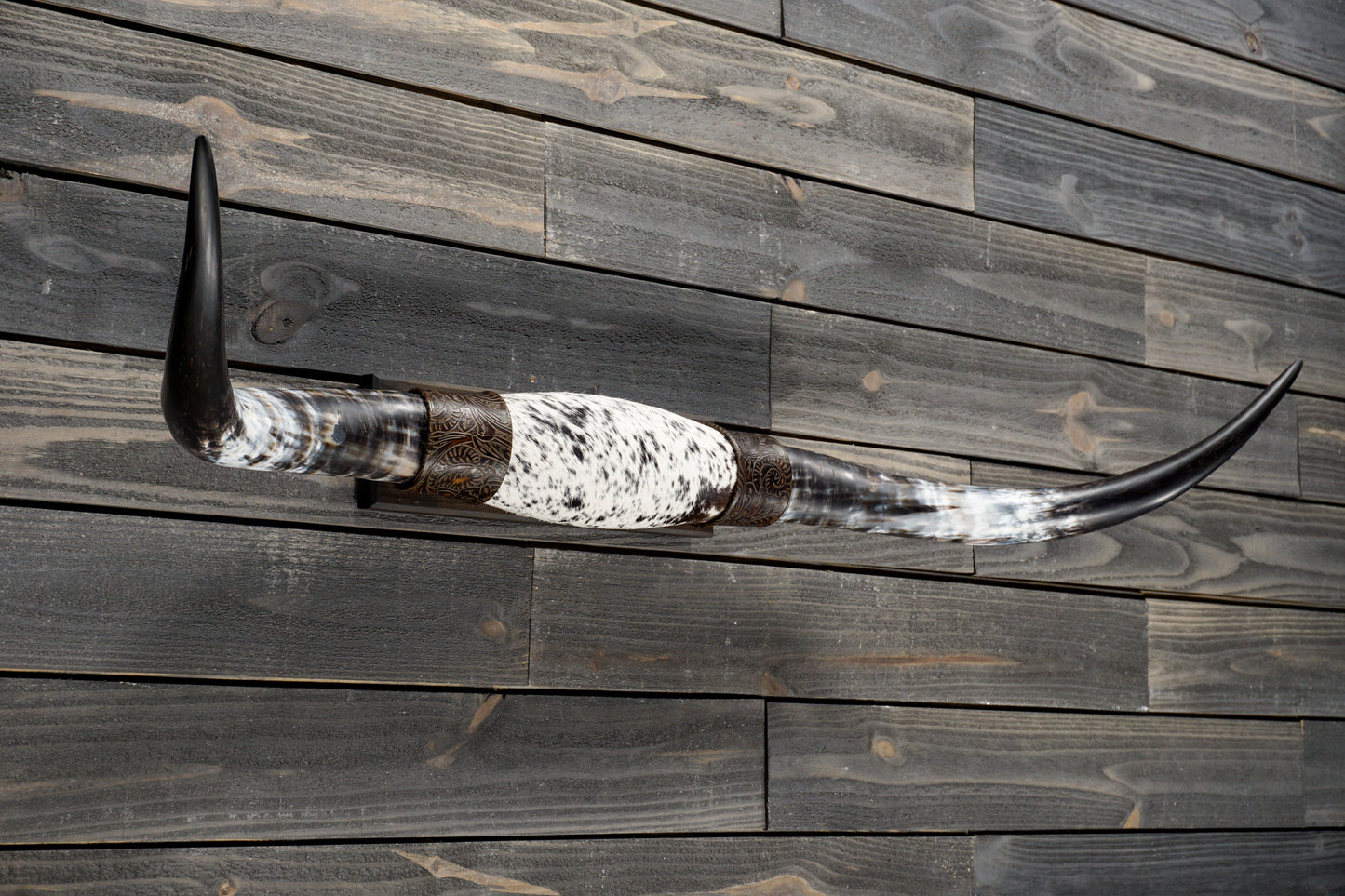4' 5" Longhorn Wall Mount #317