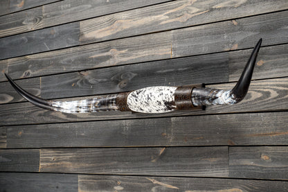4' 5" Longhorn Wall Mount #317