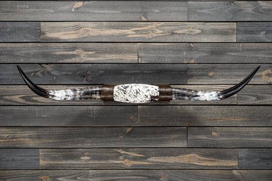 4' 5" Longhorn Wall Mount #317