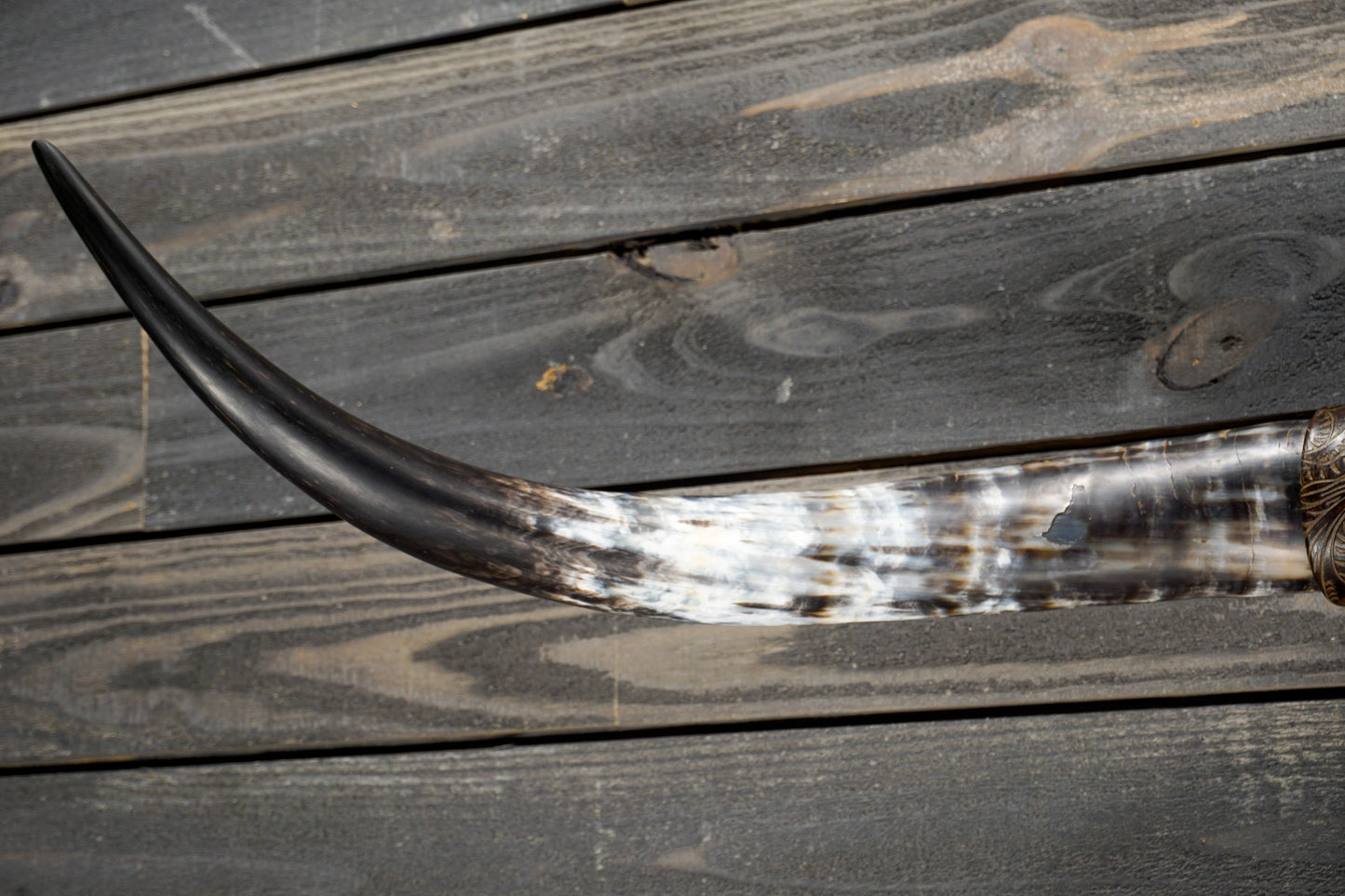 4' 5" Longhorn Wall Mount #317