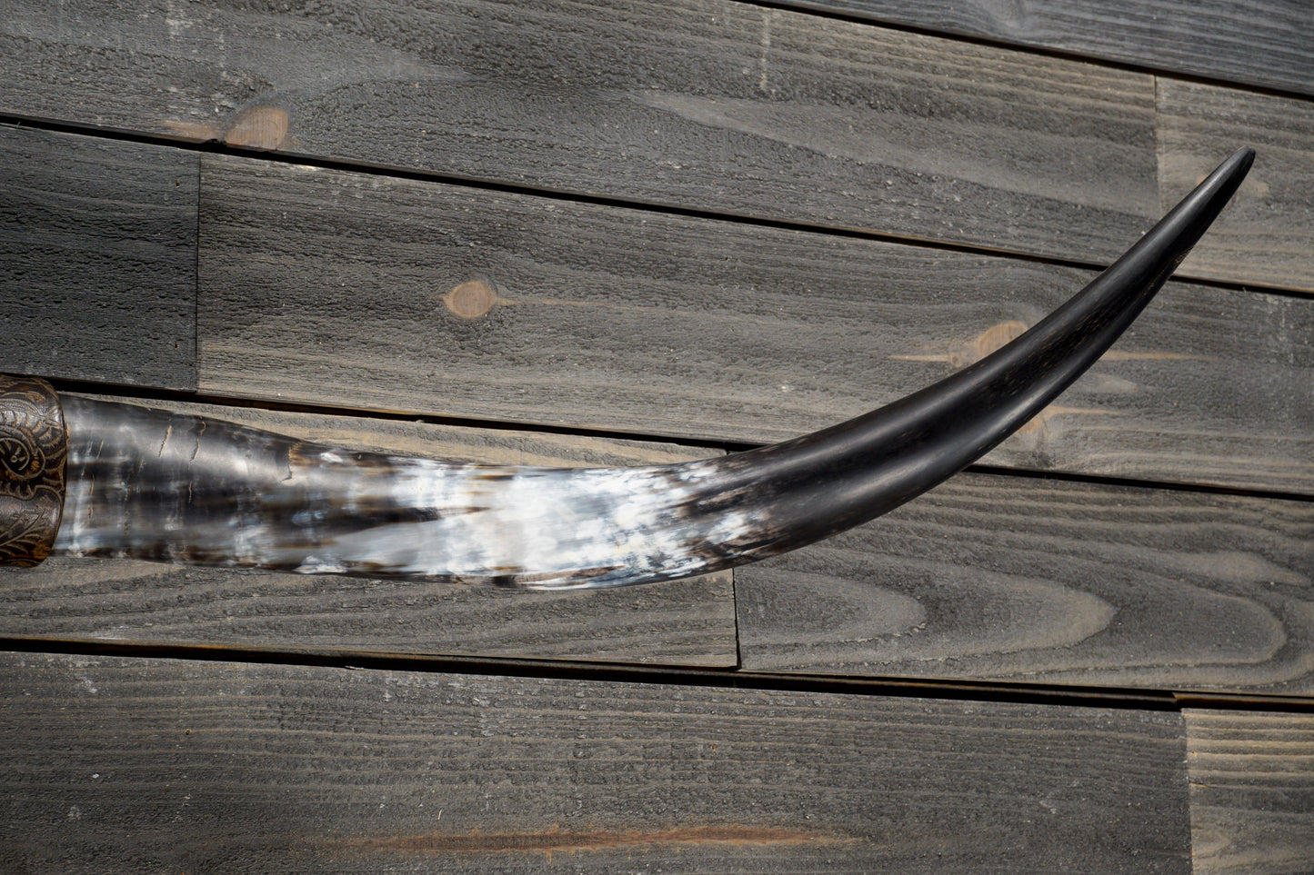 4' 5" Longhorn Wall Mount #317