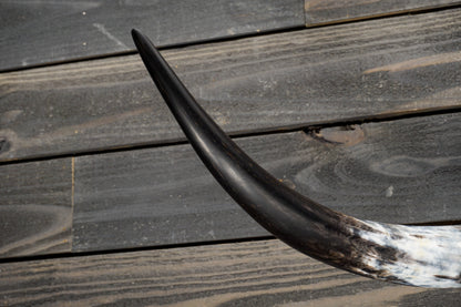 4' 5" Longhorn Wall Mount #317