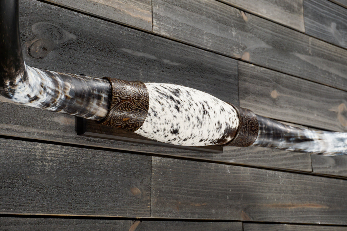 4' 5" Longhorn Wall Mount #317