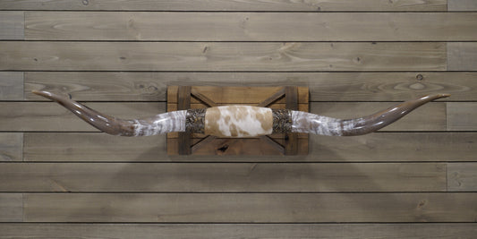 5' 6" Longhorn Wall Mount #248