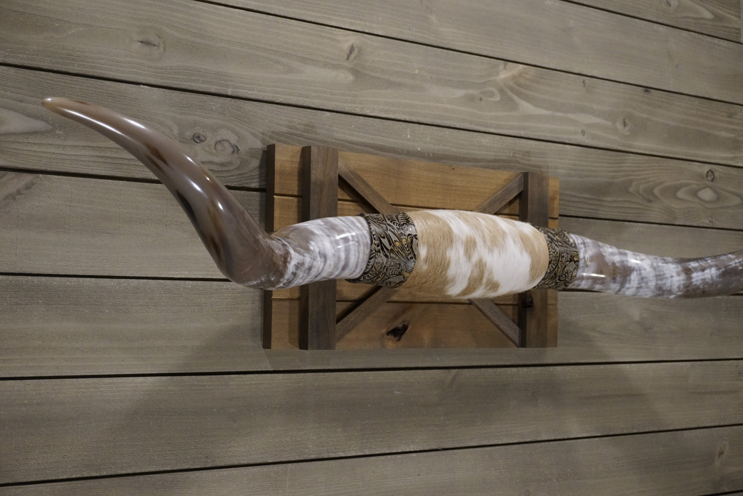 5' 6" Longhorn Wall Mount #248