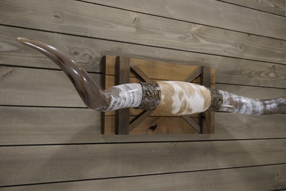 5' 6" Longhorn Wall Mount #248