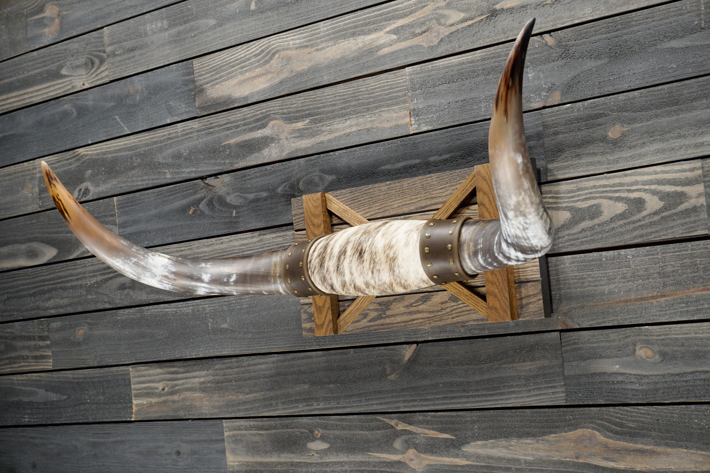 4' 0" Longhorn Wall Mount #292