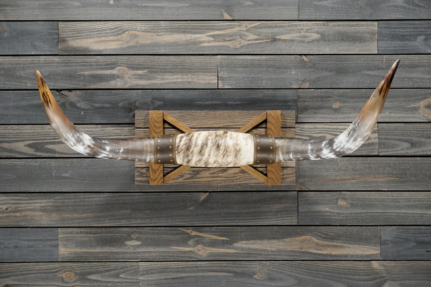 4' 0" Longhorn Wall Mount #292