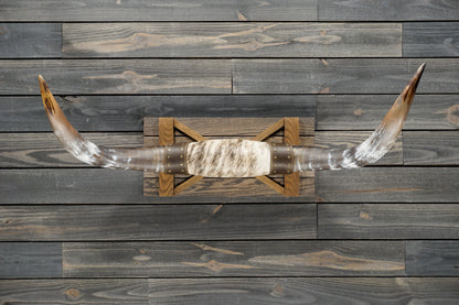 4' 0" Longhorn Wall Mount #292